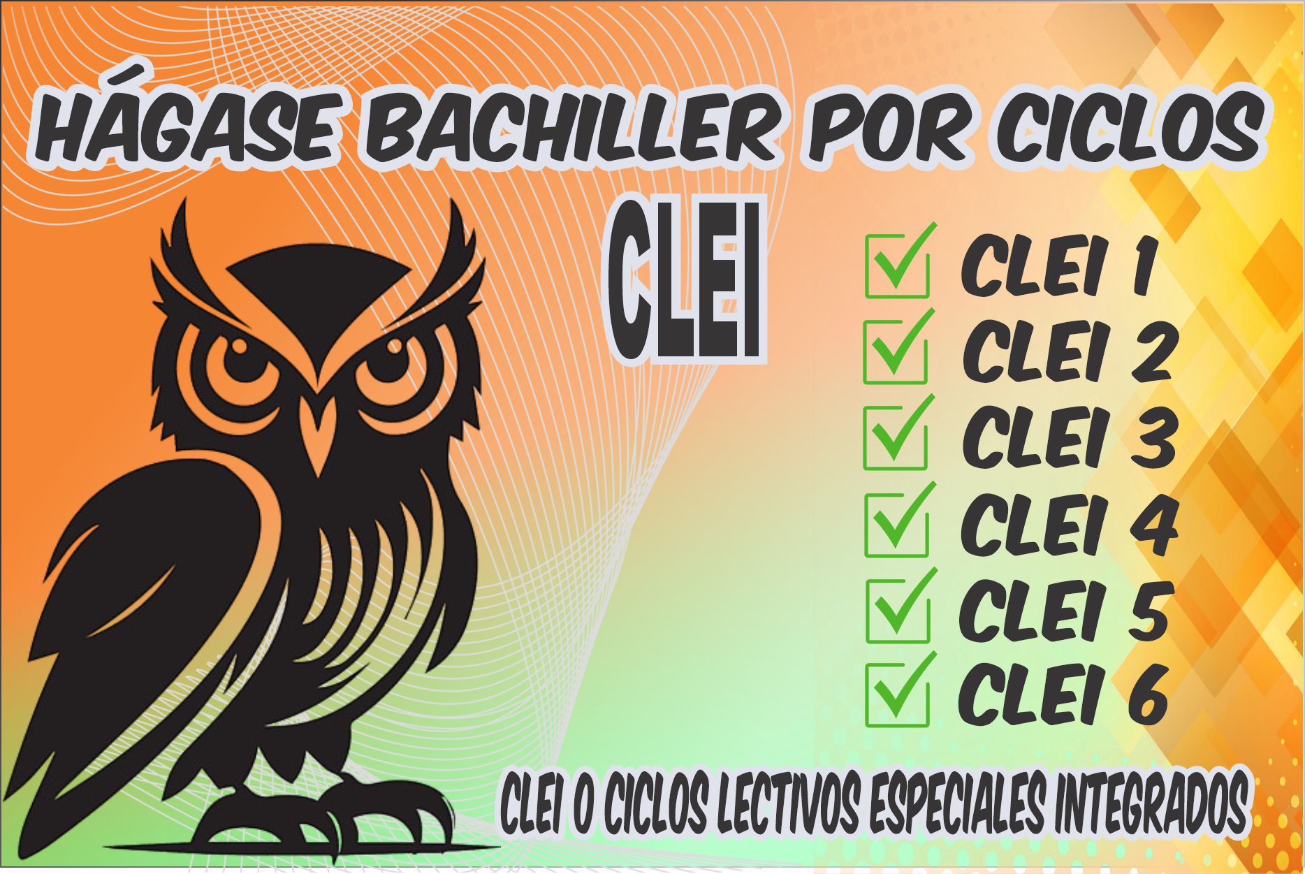Bachillerato por Ciclos