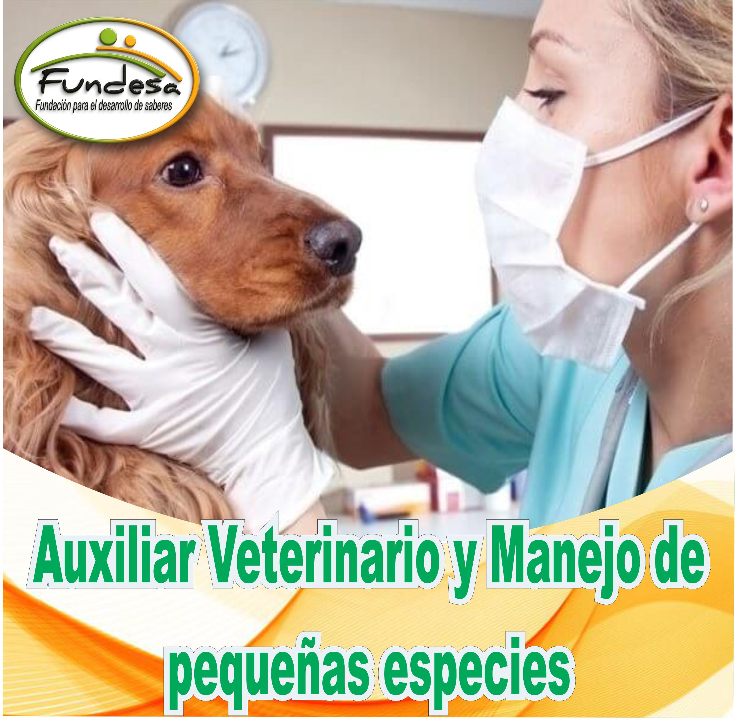 Auxiliar Veterinario y Manejo de Pequeñas Especies